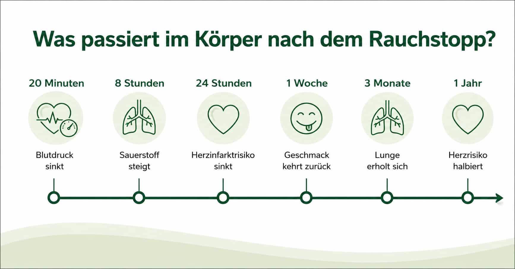 rauchstopp Phasen Zeitstrahl – Körper erholt sich nach rauchen aufhören